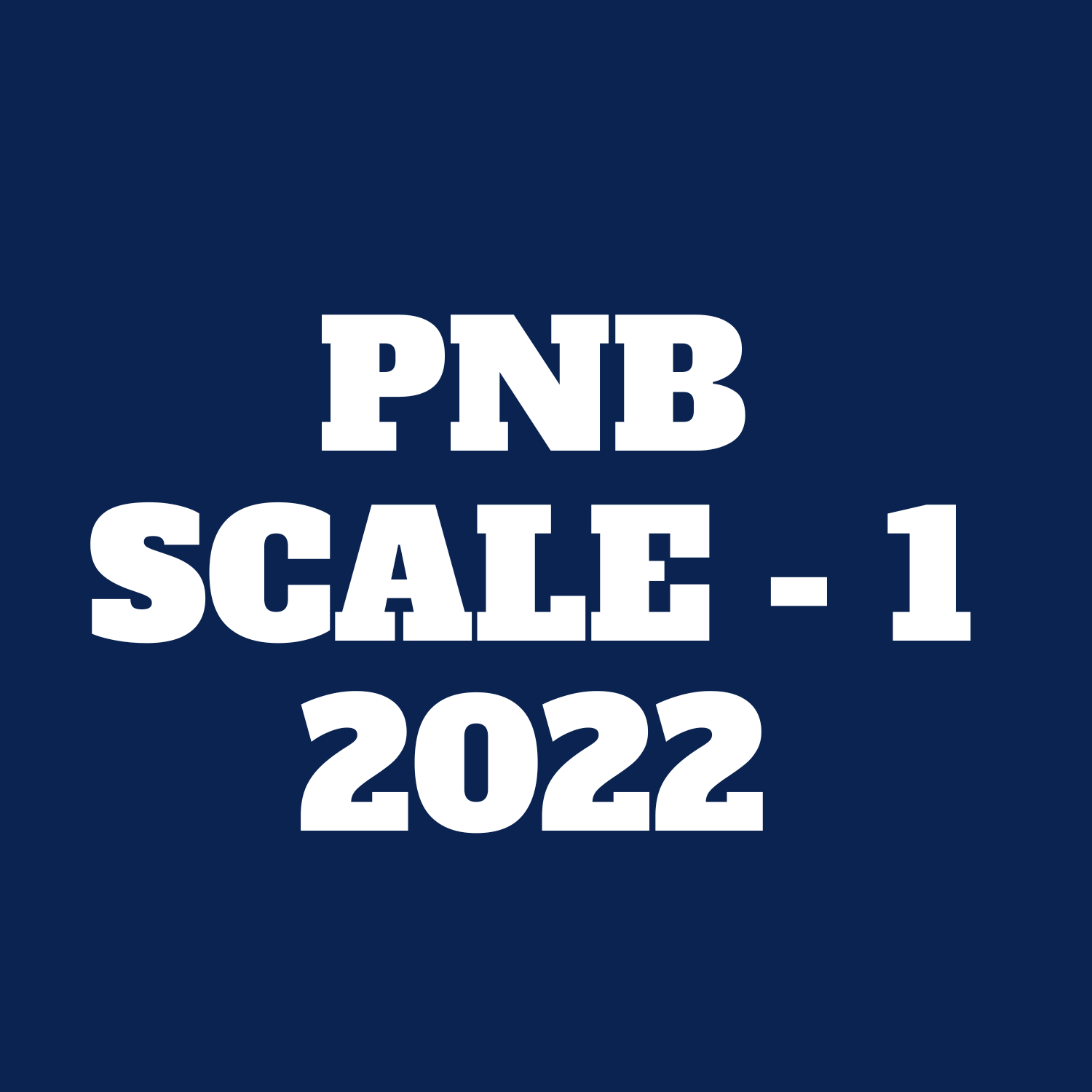 PNB Scale - 1 icon